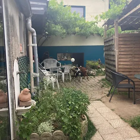 Avec Jardin Apartment *
